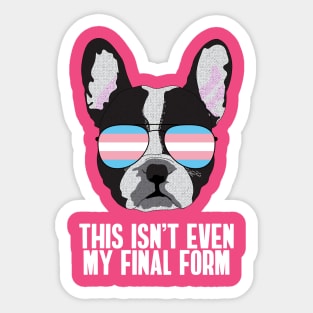 THIS ISN'T EVEN MY FINAL FORM - Boston Terrier Dog Trans Transgender Pride Flag Sticker